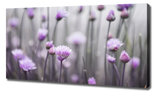 Tablou canvas flori arpagic