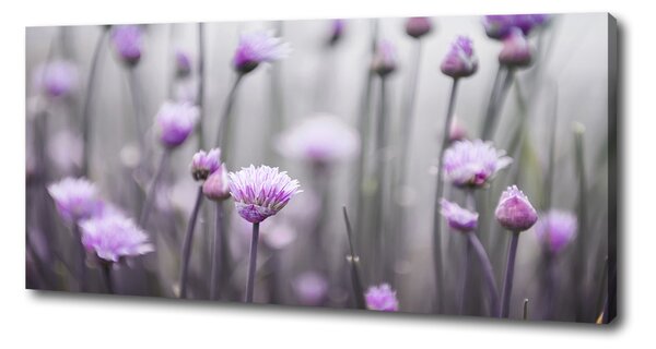 Tablou canvas flori arpagic