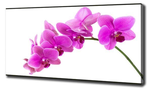 Imprimare tablou canvas orhidee roz