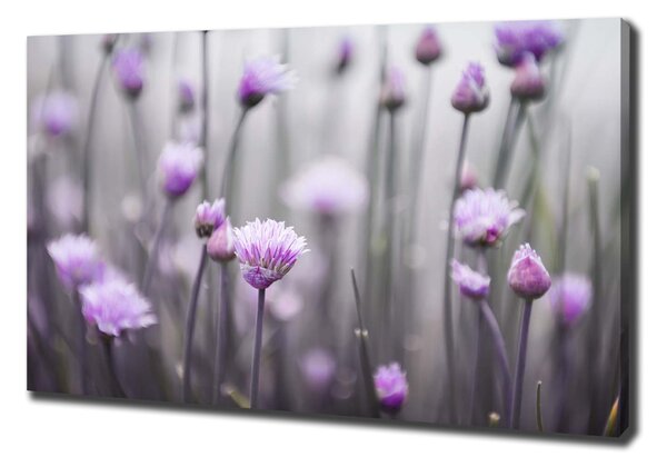 Tablou canvas flori arpagic