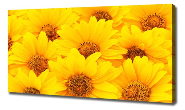 Tablou pe pânză canvas Floarea soarelui