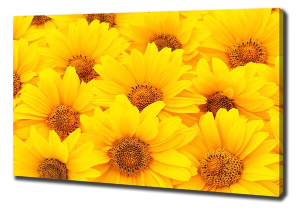 Tablou pe pânză canvas Floarea soarelui