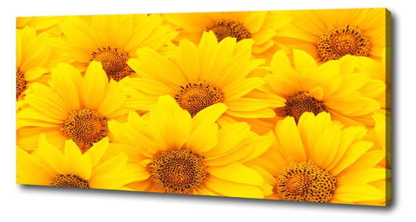 Tablou pe pânză canvas Floarea soarelui