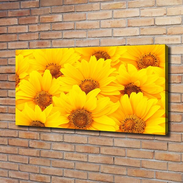 Tablou pe pânză canvas Floarea soarelui