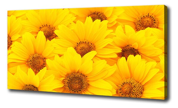 Tablou pe pânză canvas Floarea soarelui
