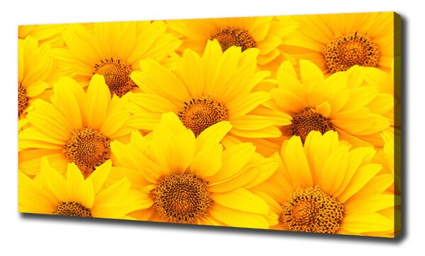 Tablou pe pânză canvas Floarea soarelui