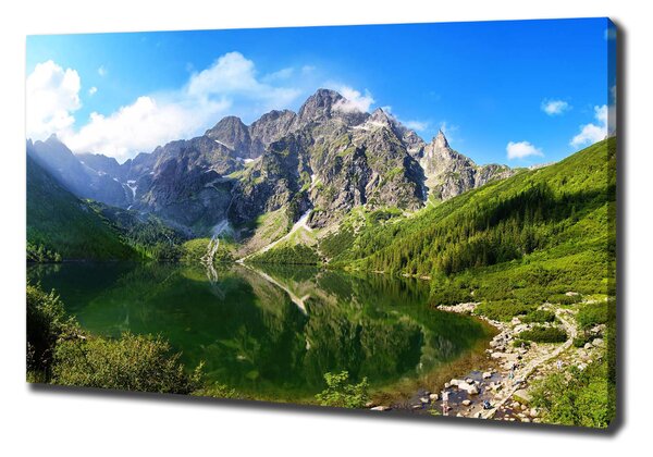 Tablou pe pânză Marine ochi Tatry