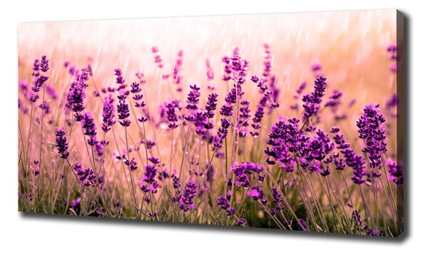 Imprimare tablou canvas Lavandă