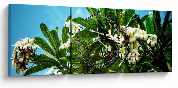 Tablou - Plumeria (cu ceas) (90x30 cm)