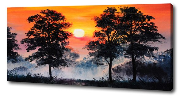 Tablou pe pânză canvas pădure Apus de soare