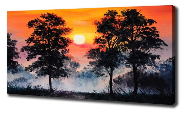 Tablou pe pânză canvas pădure Apus de soare