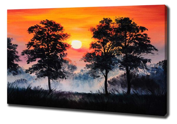 Tablou pe pânză canvas pădure Apus de soare