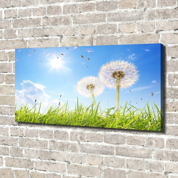 Print pe canvas păpădia