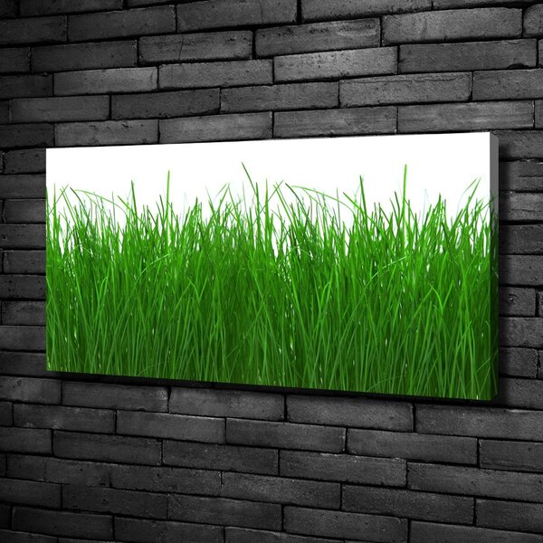 Print pe canvas Iarbă