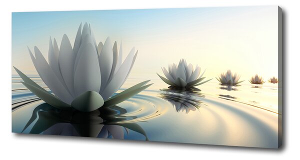 Tablou pe pânză canvas floare de lotus