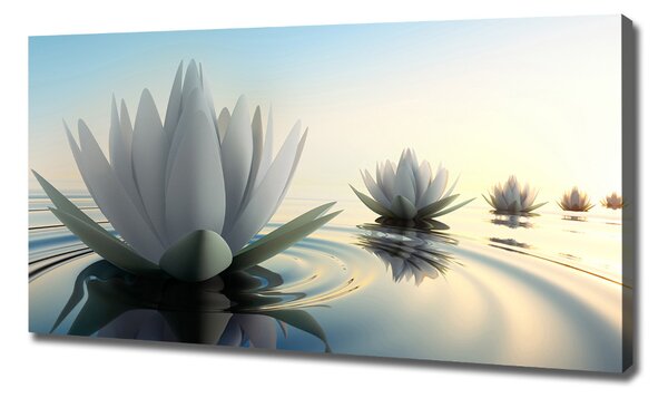 Tablou pe pânză canvas floare de lotus