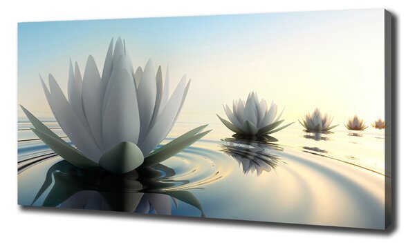 Tablou pe pânză canvas floare de lotus