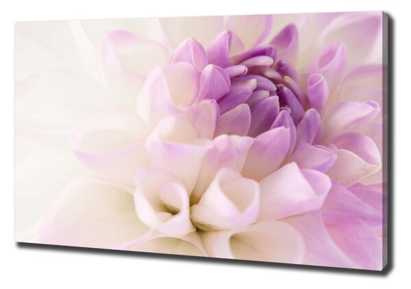 Tablou canvas Dahlia alb
