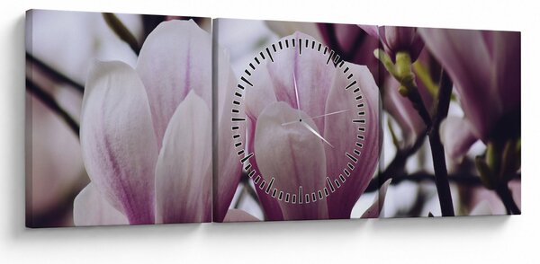 Tablou - Magnolie (cu ceas) (90x30 cm)
