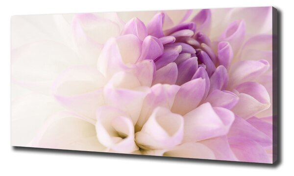 Tablou canvas Dahlia alb