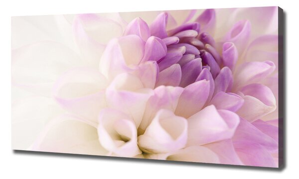 Tablou canvas Dahlia alb