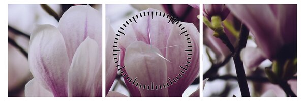 Tablou - Magnolie (cu ceas) (90x30 cm)