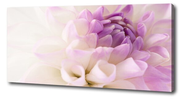 Tablou canvas Dahlia alb