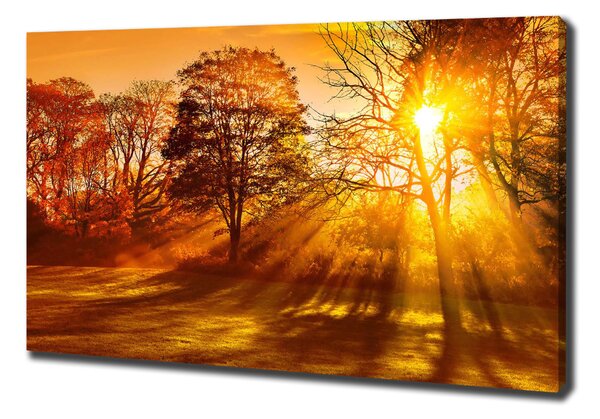 Tablou canvas Apus de soare