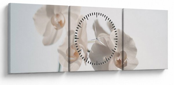 Tablou cu orhidee albă (cu ceas) (90x30 cm)