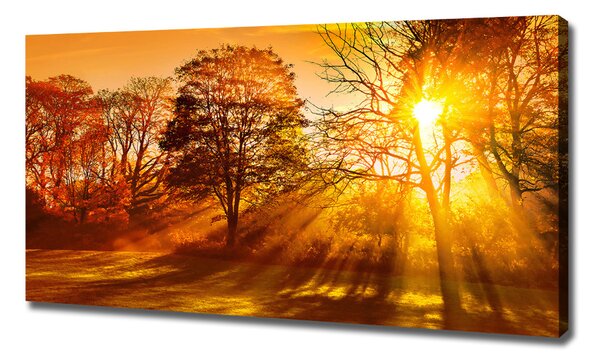Tablou canvas Apus de soare